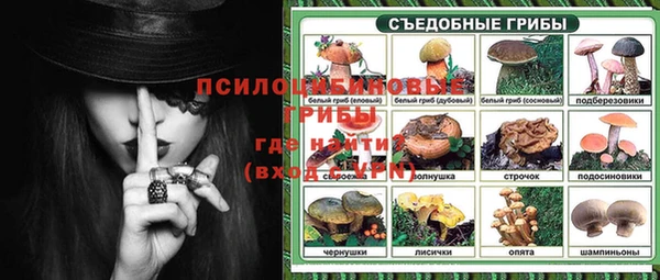 дурь Алексин